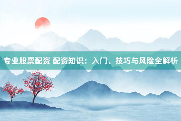 专业股票配资 配资知识:入门、技巧与风险全解析
