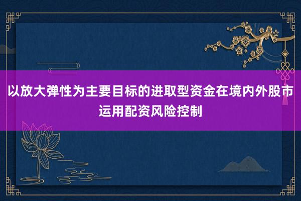 以放大弹性为主要目标的进取型资金在境内外股市运用配资风险控制