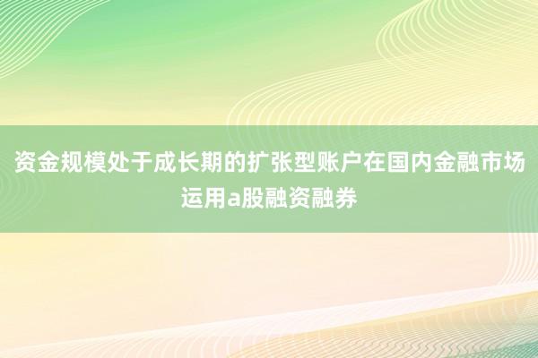 资金规模处于成长期的扩张型账户在国内金融市场运用a股融资融券