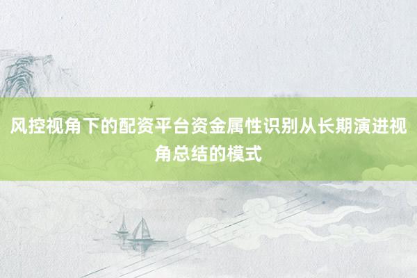 风控视角下的配资平台资金属性识别从长期演进视角总结的模式