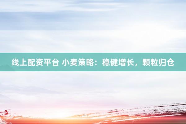 线上配资平台 小麦策略：稳健增长，颗粒归仓